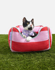 Wild One - Cat Bolster Bed: Bubblegum