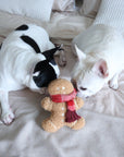 Lambwolf Collective - MISTER GINGERBREAD// Holiday Toy// Enrichment Dog Toy