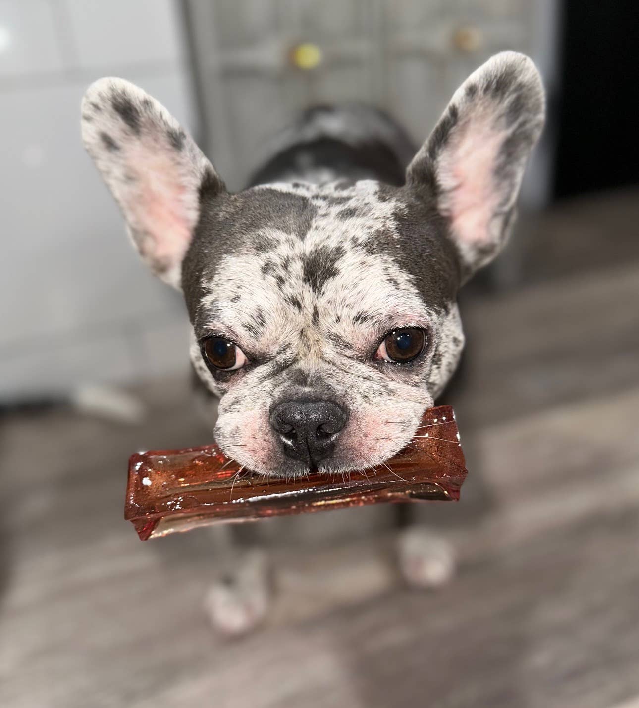 Wag &amp; Bright Supply Co. - Mighty Marrows Collagen Dental Chew - Beef Liver - 3 Sizes: Large