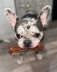 Wag & Bright Supply Co. - Mighty Marrows Collagen Dental Chew- Spirulina Beef- 3 Sizes: Large