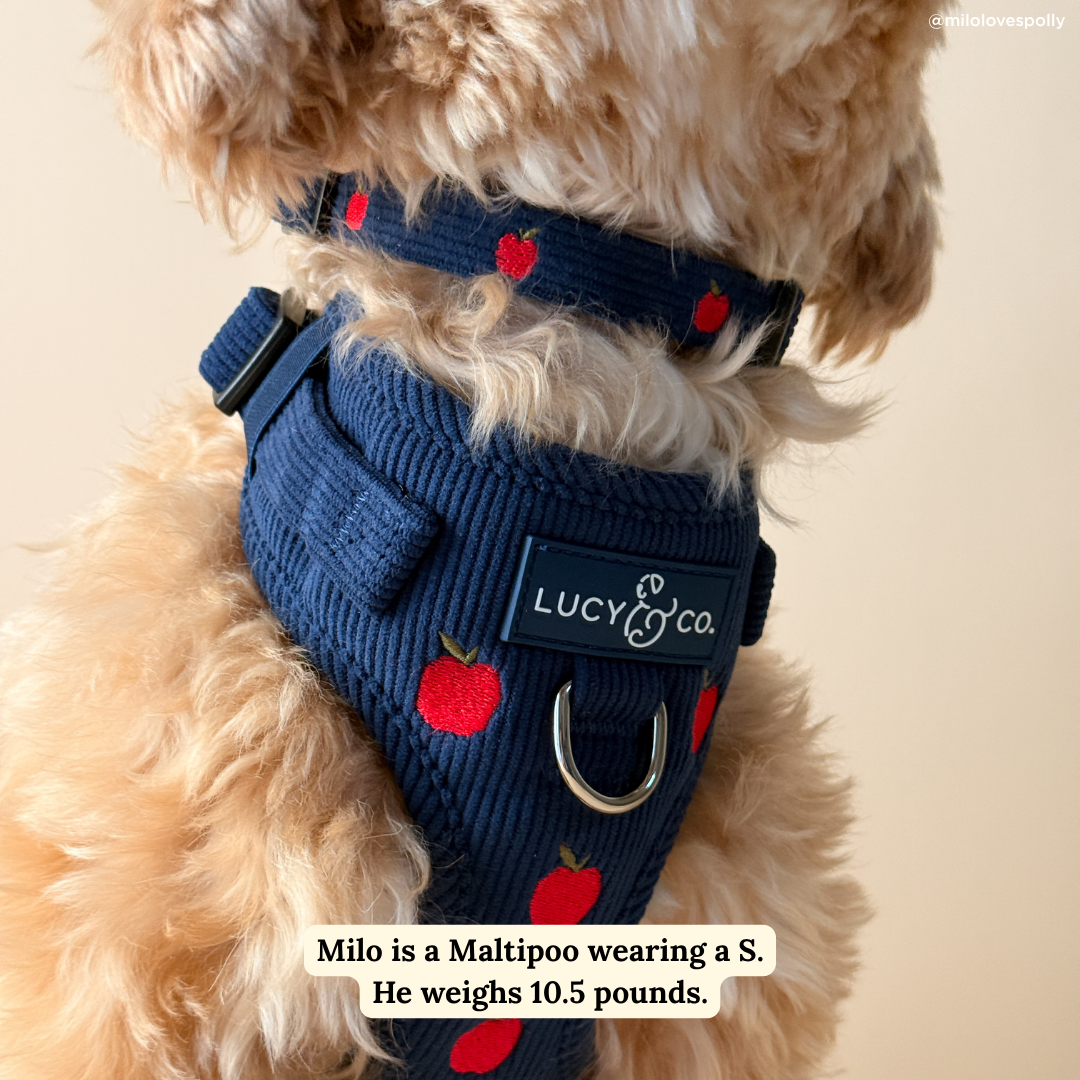 Lucy &amp; Co. - Appley Ever After Corduroy Collar