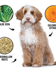 PRIDE + GROOM - DOGDAYS Curly + Wavy Shampoo Gallon