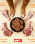 Happy Day Pets - Happy Day Pets Lamb Chips Dog Treats | 100% Lamb | 4 oz