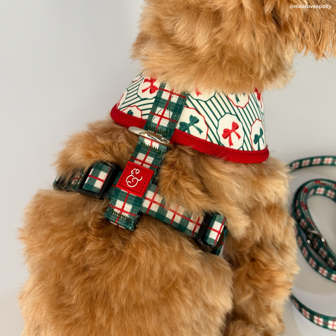 Lucy &amp; Co. - Wrap it Up Reversible Harness