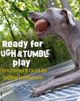 Tough & Tumble™ Treat Dispenser: Fumbling Football
