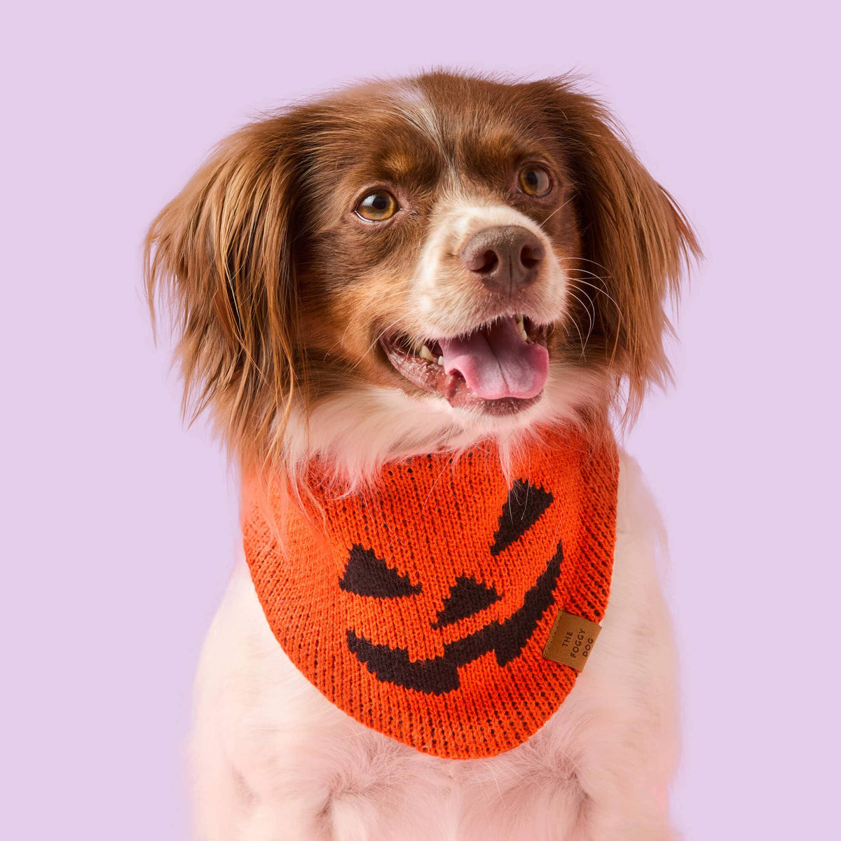 The Foggy Dog - Jack-o’-Lantern Knit Dog Bandana