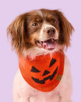 The Foggy Dog - Jack-o’-Lantern Knit Dog Bandana