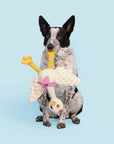 Pet Palette Distribution - BARK Farmer's Barket Gingham Goose Plush Dog Toy XL