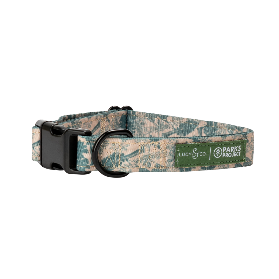 Lucy &amp; Co. - Lucy &amp; Co. x Parks Project Sequoia Seedlings Collar