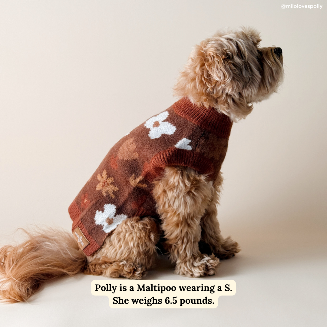 Lucy &amp; Co. - Chocolate Meadows Sweater