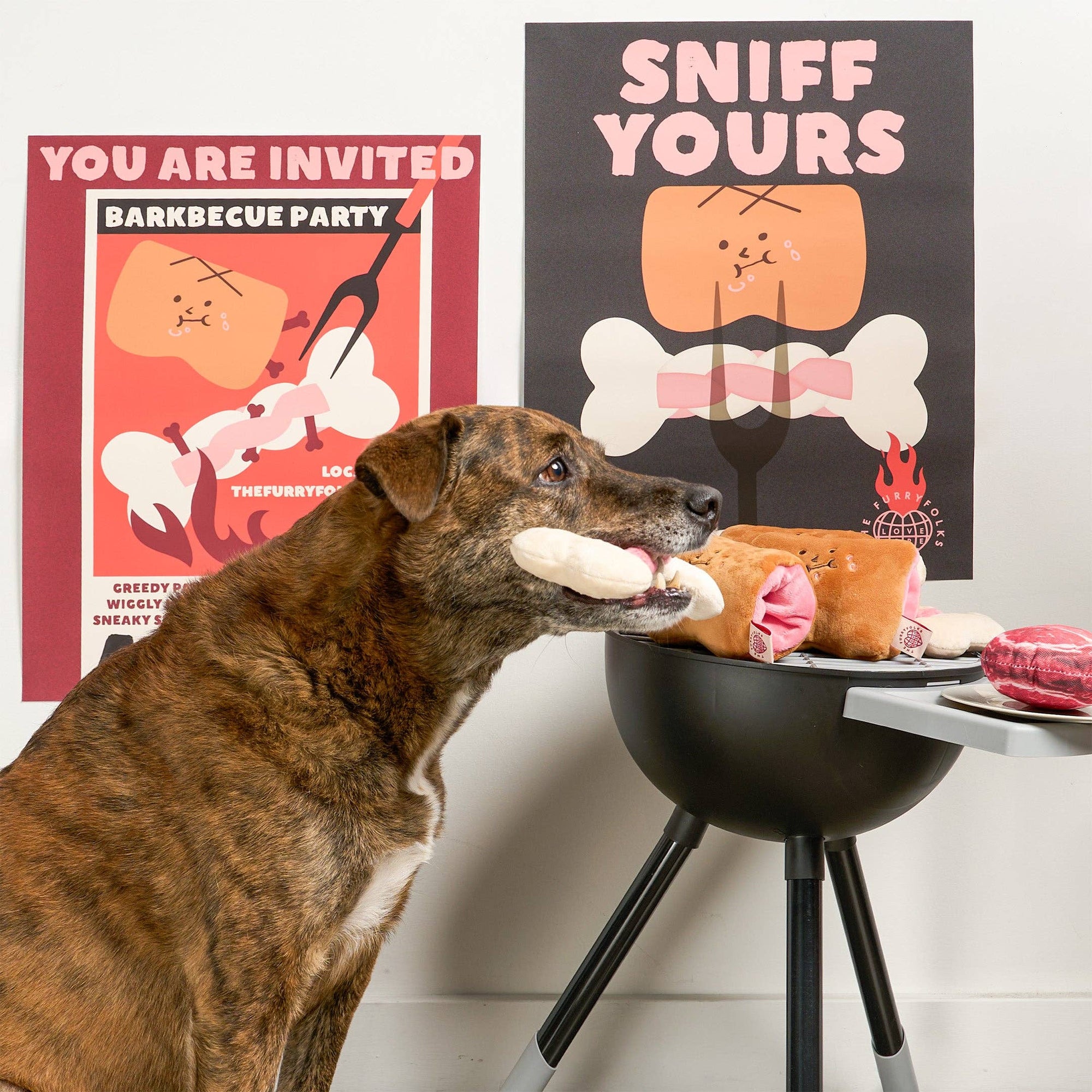 the furryfolks - Bone Appétit Nosework Toy