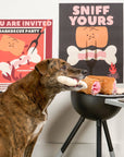 the furryfolks - Bone Appétit Nosework Toy