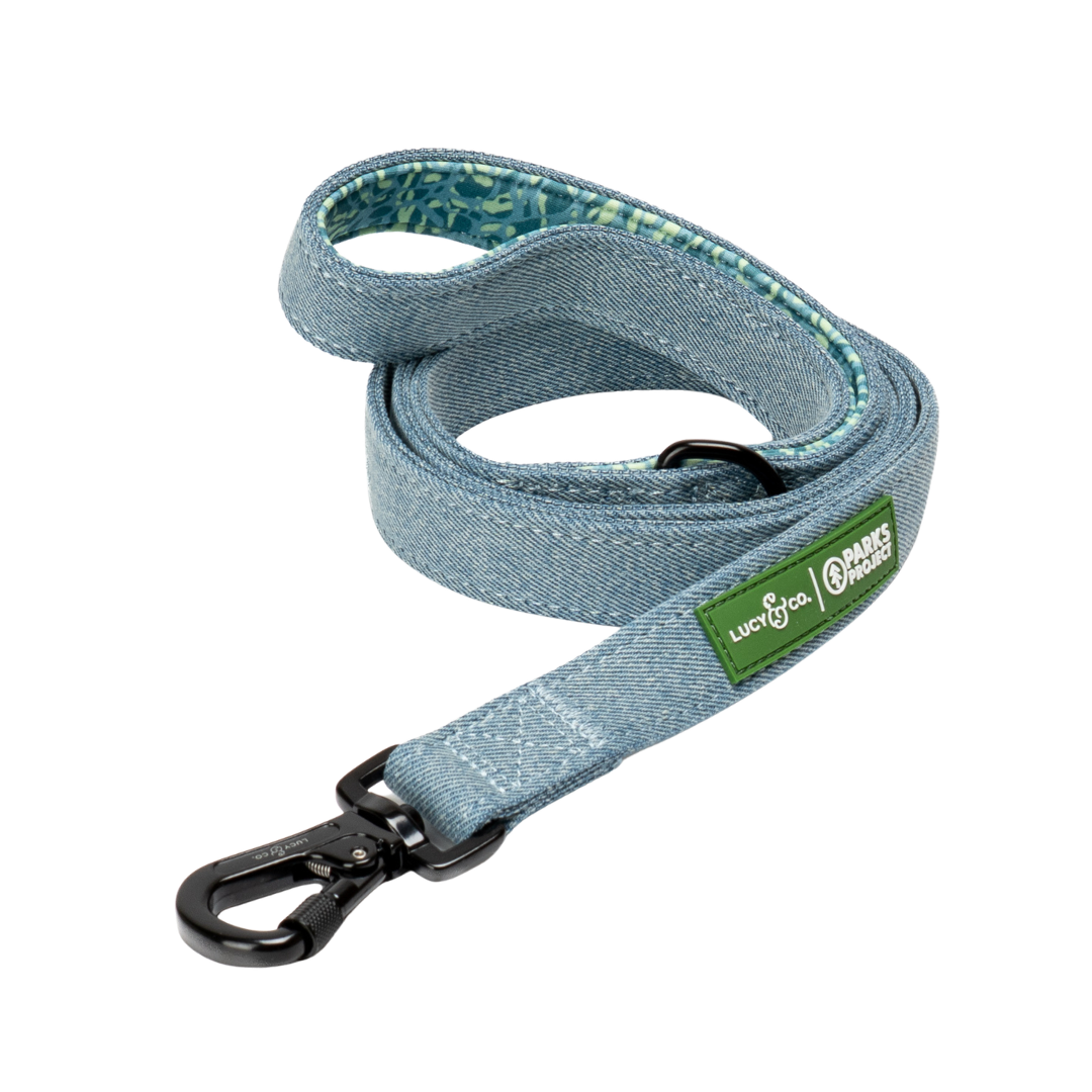 Lucy &amp; Co. - Lucy &amp; Co. x Parks Project Adventures with Friends Leash