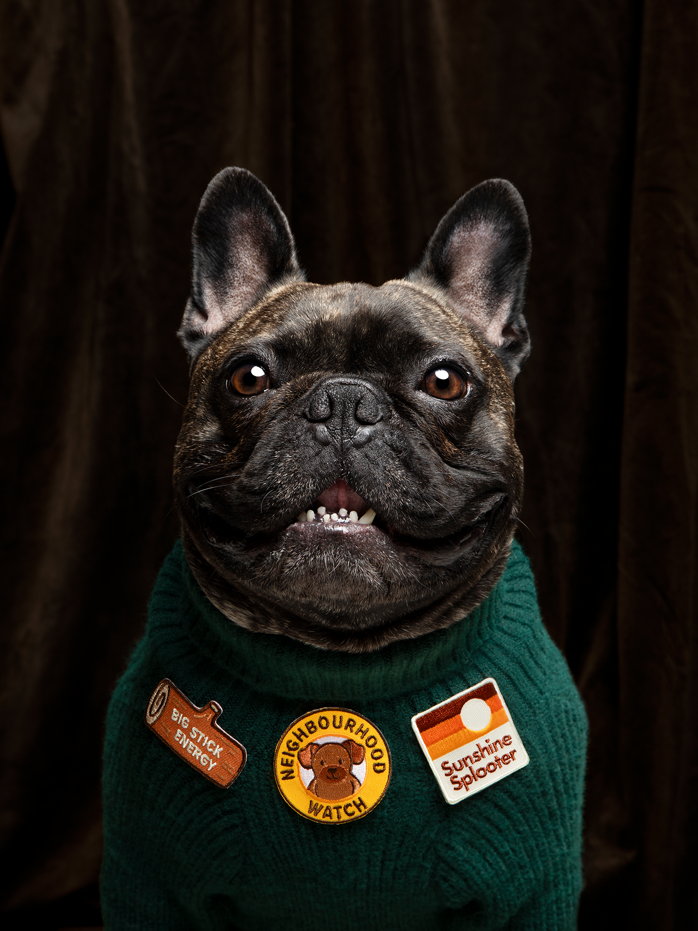 Scout's Honour Pty Ltd - Neighbourhood Watch patch for dogs and cats