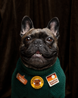 Scout's Honour Pty Ltd - Neighbourhood Watch patch for dogs and cats