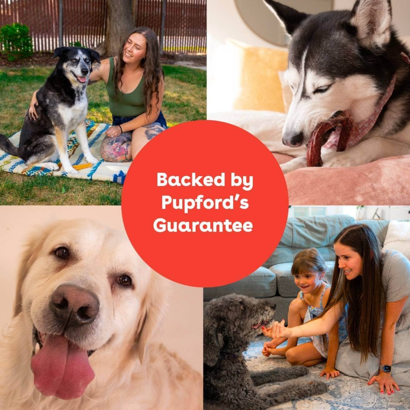 Pupford - Bully Rings: 3 Pack