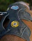 Scout's Honour Pty Ltd - Happiest Camper iron-on patch for dogs and cats