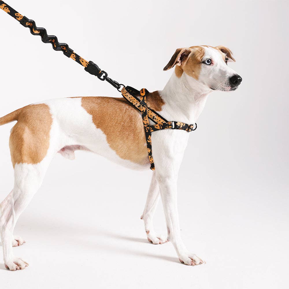 Zee.Dog - Bossa Banana | SofterWalk Harness: Large
