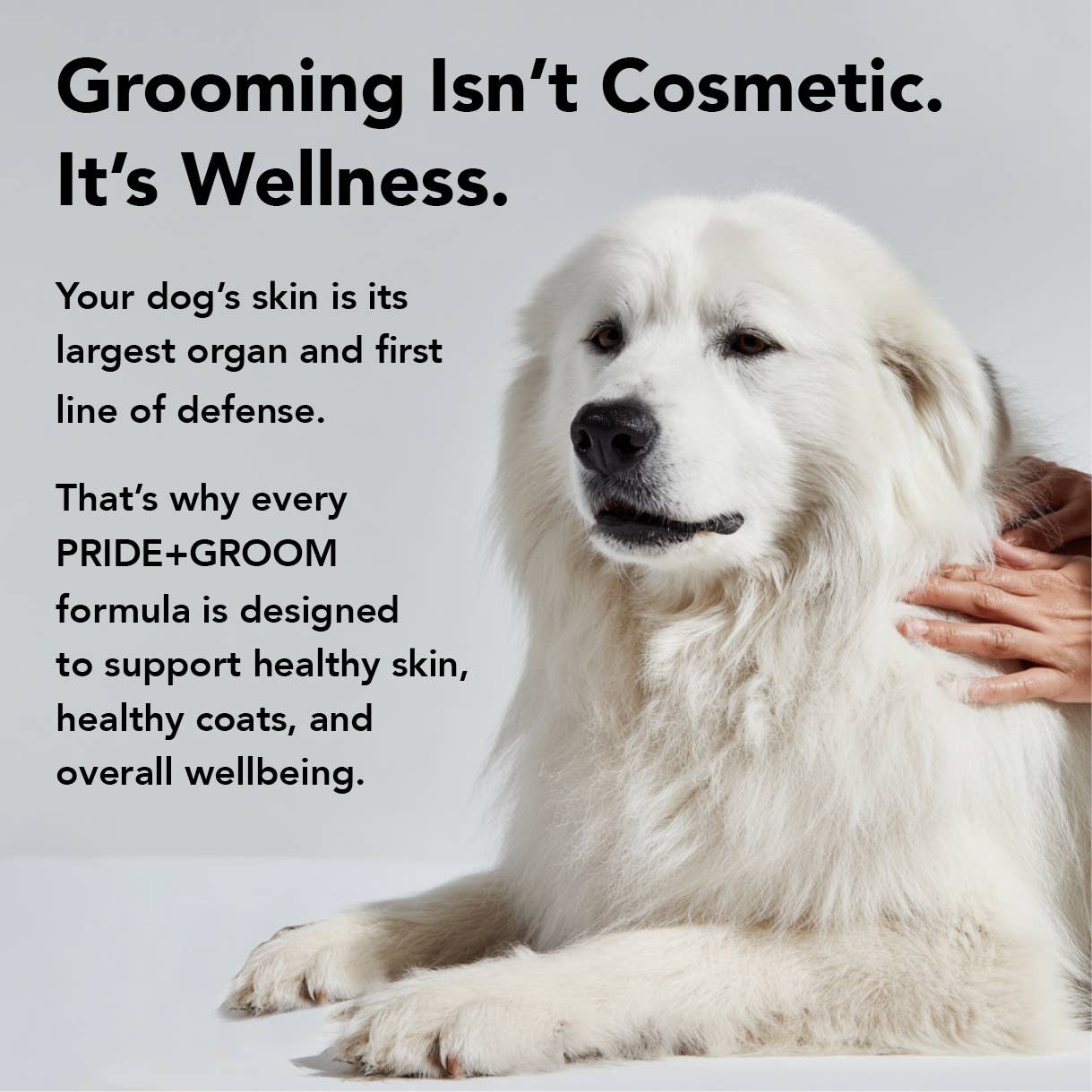 PRIDE+GROOM - THE FLEA+TICK