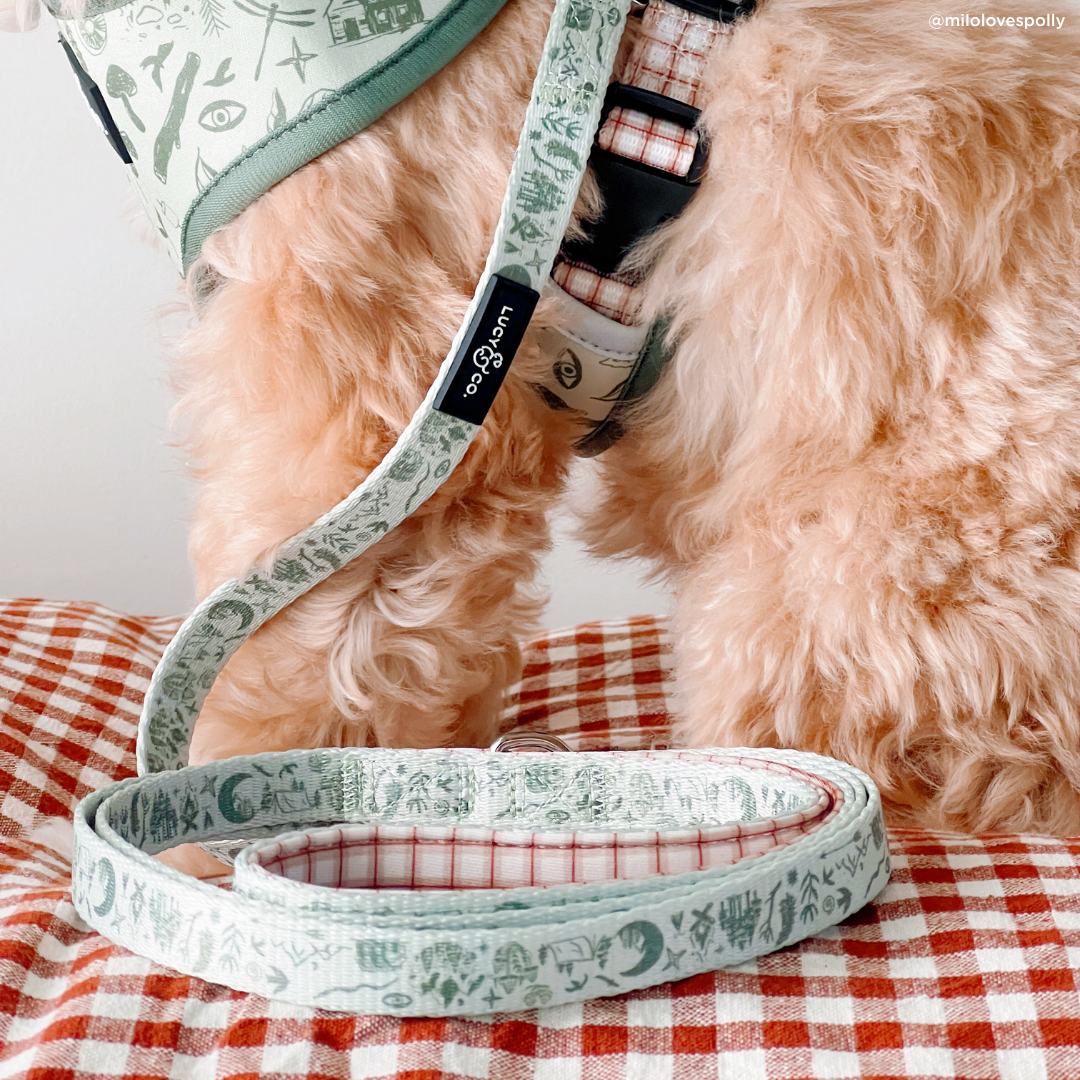 Lucy &amp; Co. - Camp Out Leash: L