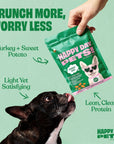 Happy Day Pets - Happy Day Pets Turkey & Sweet Potato Chips Dog Treats