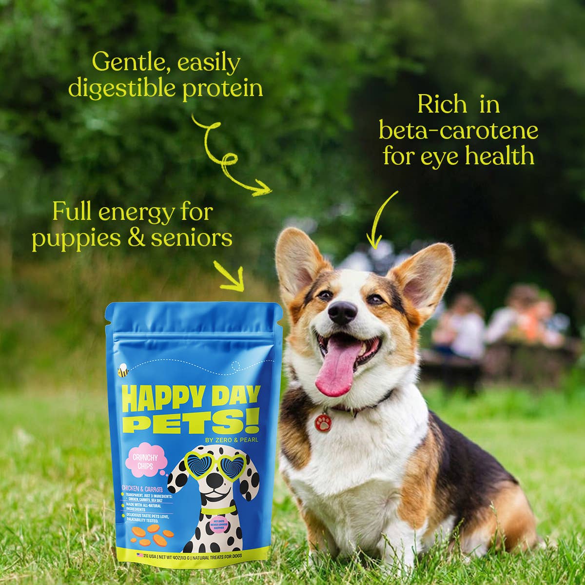 Happy Day Pets - Happy Day Pets Chicken &amp; Carrot Chips Dog Treats