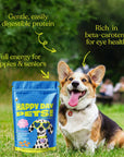 Happy Day Pets - Happy Day Pets Chicken & Carrot Chips Dog Treats