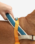 Zee.Dog - Voyage | SofterWalk Harness: Small