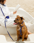SUNNY TAILS - Signature Navy Waterproof Dog Collar: SMALL