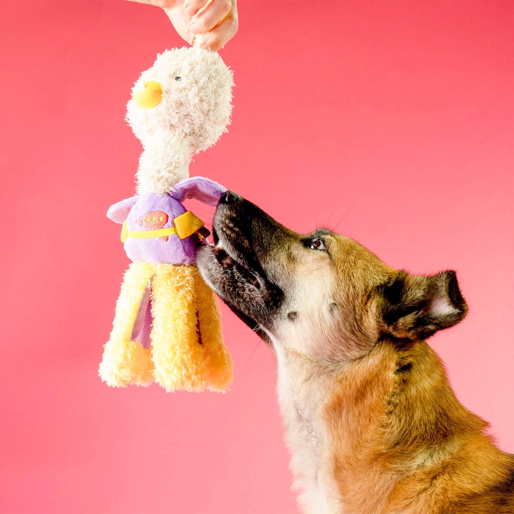 the furryfolks - OstriKraken Nosework Toy
