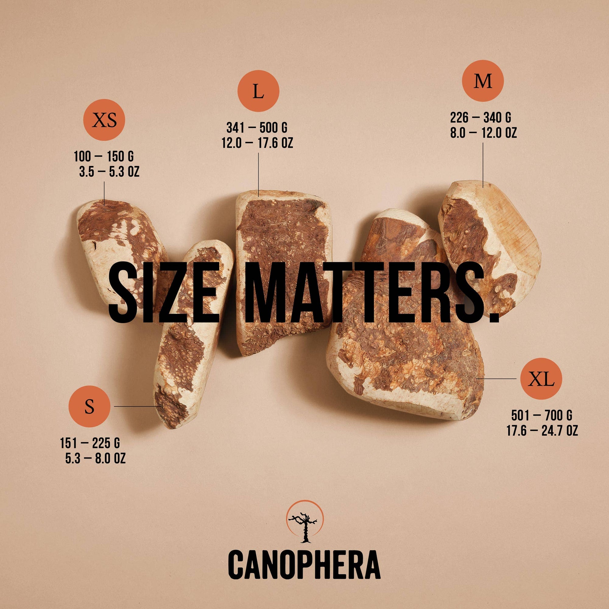 CANOPHERA LLC - Dog Chew Made of Briar Root.: L