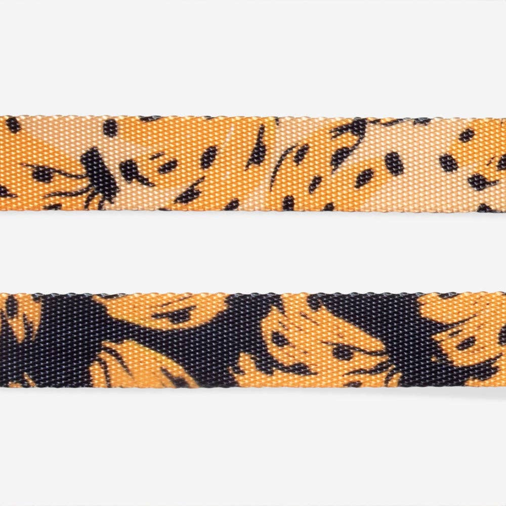 Zee.Dog - Bossa Banana | Cat Harness with Leash: Default Title