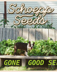 Schoepp Seeds - Schoepp Seeds (Dog Gone Good Seeds Line): Sunflower
