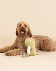 Petshop by Fringe Studio - EARTH FRIENDLY DOG TOY SMALL ARMS, BIG HEART