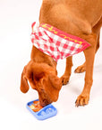 Awoo - Sardina Lick Mat & Slow Feeder: COBALT