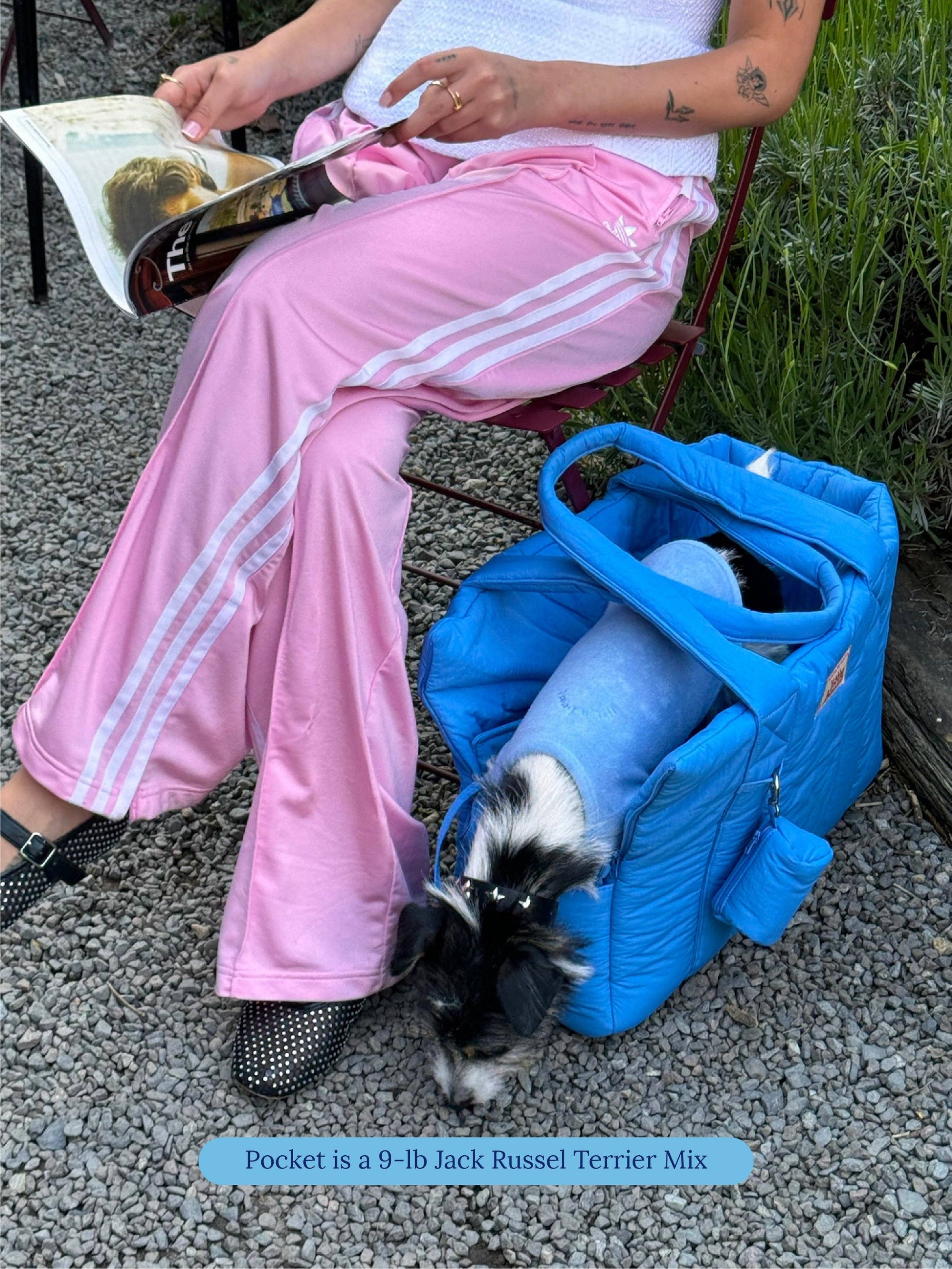 Little Beast - The Little Beast Carrier - Baby: One Size