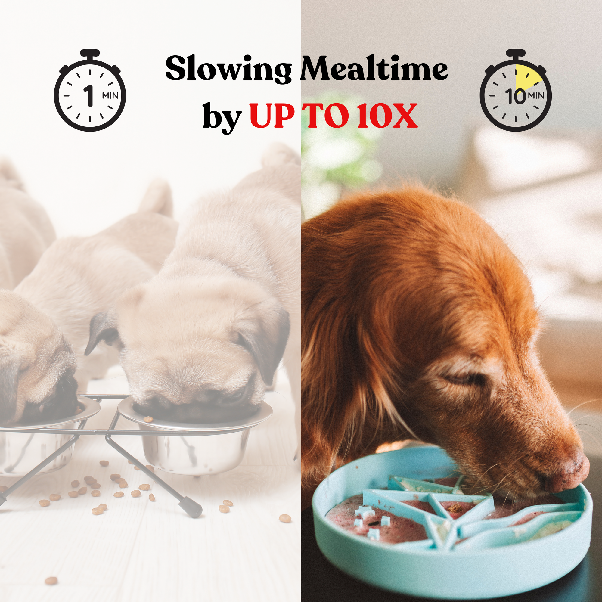 Barks and Brownies - Mushroom Slow Feeder
