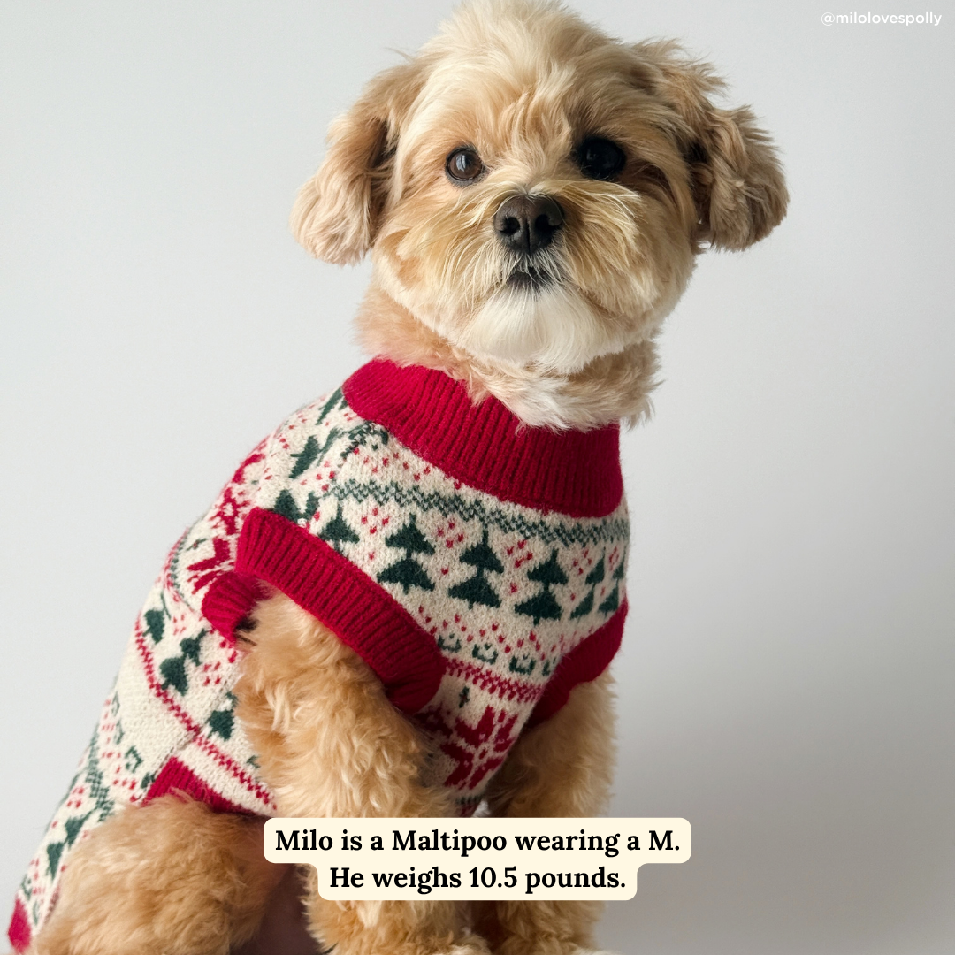 Lucy &amp; Co. - The Let it Snow Sweater