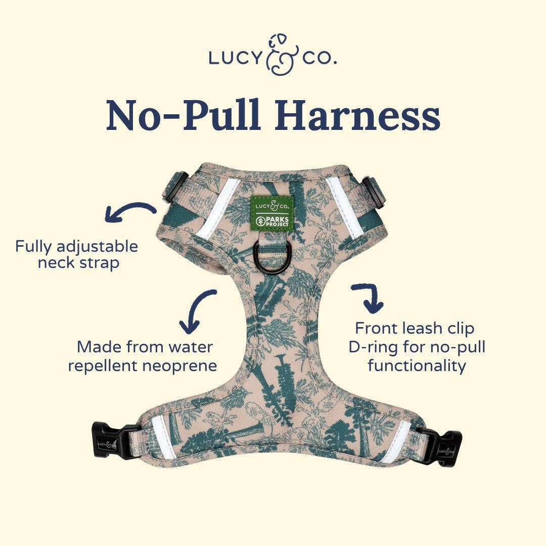 Lucy &amp; Co. - Lucy &amp; Co. x Parks Project Sequoia Seedlings No-Pull Harness