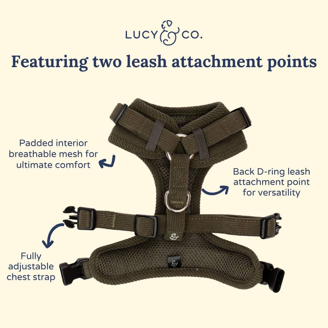 Lucy &amp; Co. - Take a Hike Corduroy No-Pull Harness