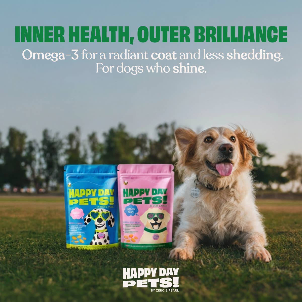 Happy Day Pets - Happy Day Pets Salmon &amp; Sweet Potato Chips Dog Treats