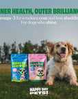 Happy Day Pets - Happy Day Pets Salmon & Sweet Potato Chips Dog Treats