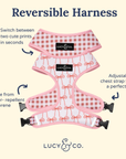 Lucy & Co. - Take a Bow Reversible Harness: L