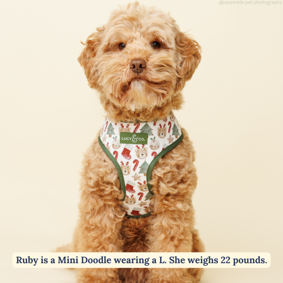 Lucy &amp; Co. - The Jingle Bells Reversible Harness