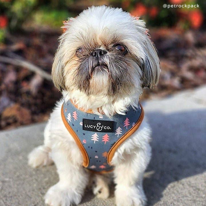 Lucy & Co. The Take a Hike Reversible Harness