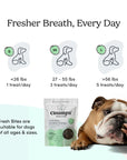 Crumps Fresh Bites Spearmint