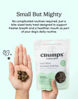 Crumps Fresh Bites Spearmint