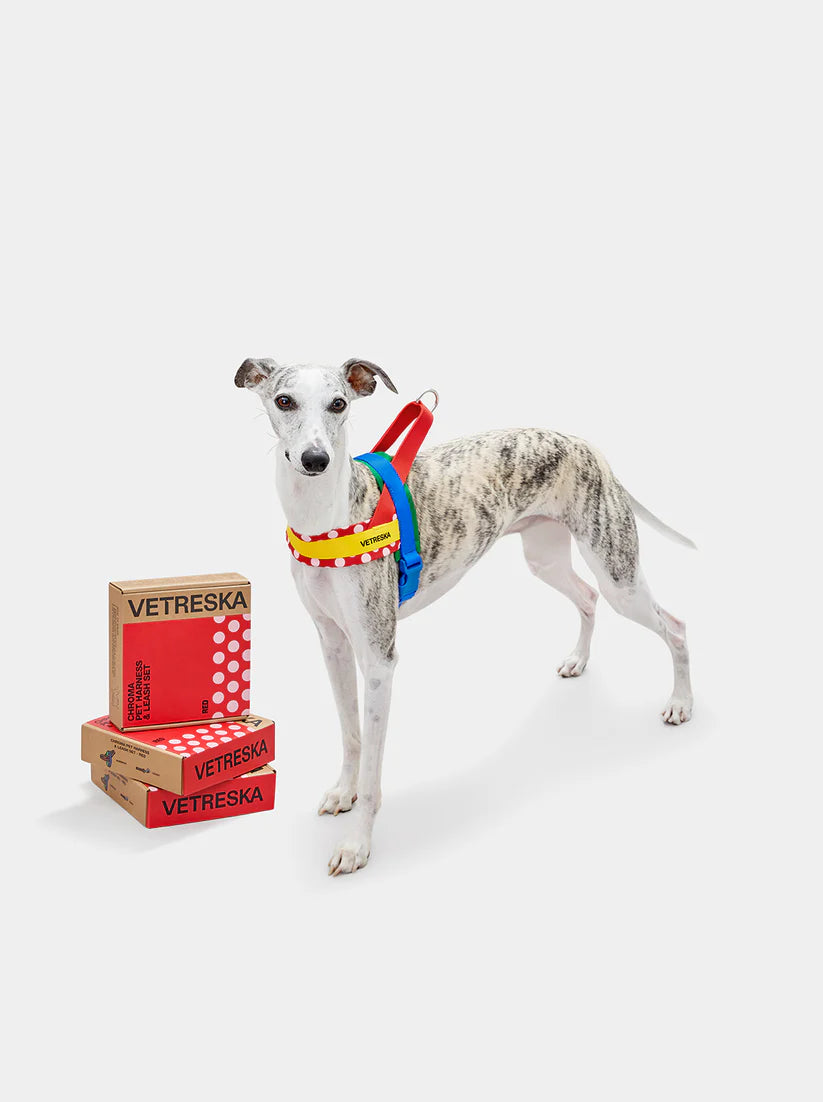 Vetreska Red Chroma Quick Fit Harness &amp; Leash Set