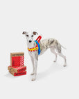 Vetreska Red Chroma Quick Fit Harness & Leash Set