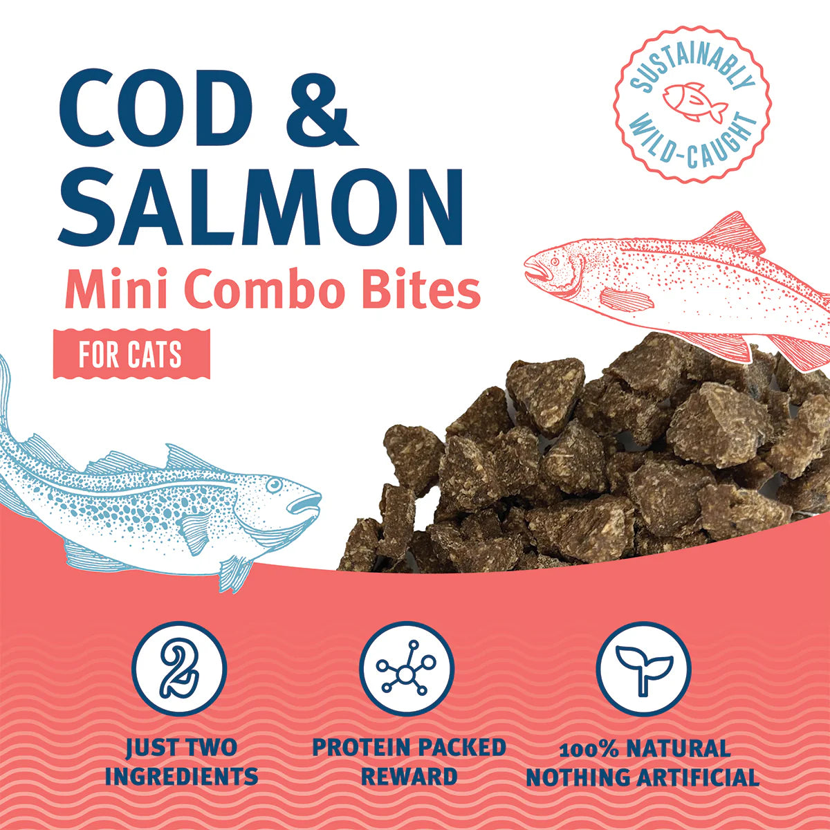 Cat Eat Cod Icelandic+ Cod & Salmon Mini Combo Bites Treats for Cats – The Modern ...